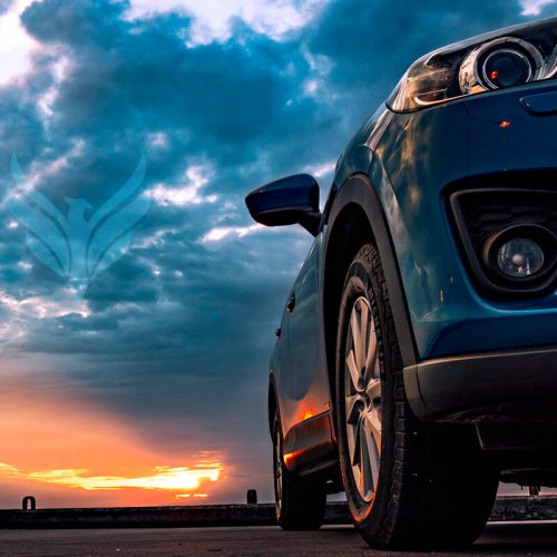 Revierdienst der Protecta Hameln